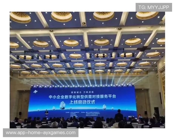 跆拳道裁判透明化评分平台上线，争议显著减少