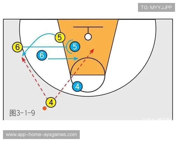 NBA外线突分训练更精准——开启你的投篮新纪元